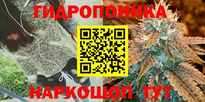 ПСИЛОЦИБИНОВЫЕ ГРИБЫ Бугуруслан