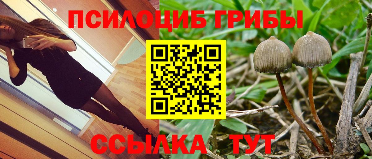 Комсомольск-на-Амуре  Псилоцибиновые грибы прущие грибы  Галлюциногенные грибы GOLDEN TEACHER  Вход с VPN 
